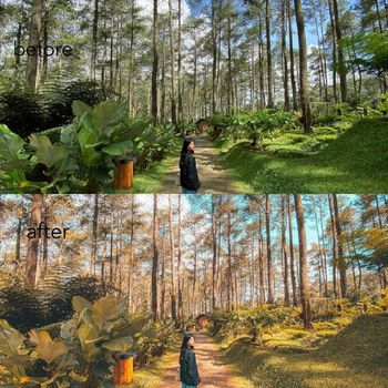 FIlter preset dari 500presets.