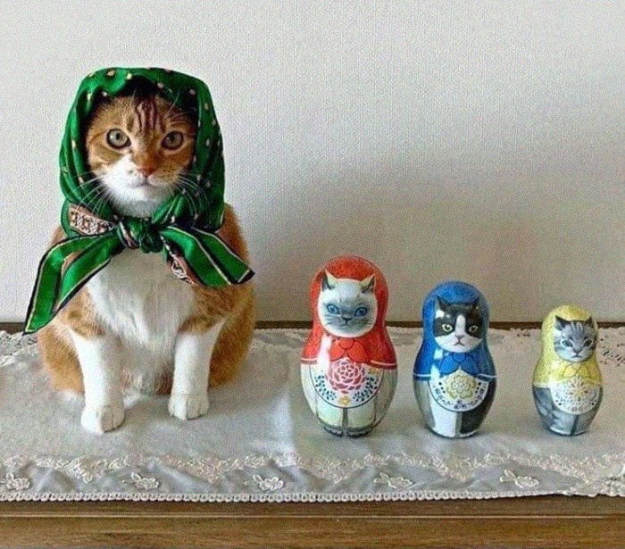 Gemasnya Kucing Saat Bergaya 'Wanita Tua Rusia'