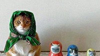 Di Rusia dan Polandia ada istilah babushka yang artinya nenek atau wanita tua. Di tahun 1970-an, wanita Rusia yang sudah lanjut usia umumnya menggunakan scarf segiempat untuk menutupi kepalanya. Sejak itu, gaya menutup kepala itu dikenal sebagai babushka. Kucing ber-babushka makin menggemaskan saat disandingkan dengan matryoshka (boneka ikonik Rusia).