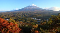 Aokigahara terletak di bagian barat laut Gunung Fuji, sekitar 100 kilometer sebelah barat Tokyo. (Getty Images/iStockphoto)