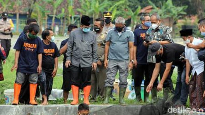 Kelompok mantan napi teroris di Cirebon sukses budi daya ikan lele