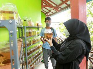 Mahasiswa Ini Raup Omzet Rp 30 Juta/Bulan dari Cupang Saat Pandemi