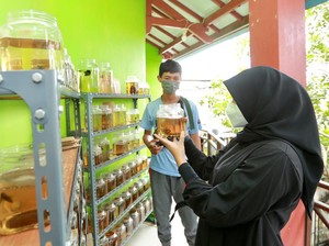 Mahasiswa Ini Raup Omzet Rp 30 Juta/Bulan dari Cupang Saat Pandemi