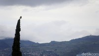 Dengan letak geografisnya yang dikelilingi oleh pegunungan, tak heran Malang menjadi destinasi para pendaki gunung.