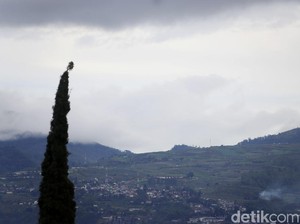 10 Hotel di Batu Malang dengan Harga Terjangkau, Mulai dari Rp 150 Ribuan