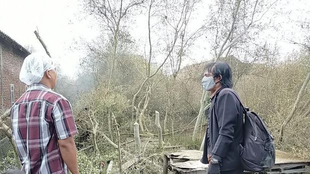 Petugas mengecek fenomena ribuan ulat yang menyerbu permukiman di Demak, Jawa Tengah, Selasa (9/3/2021).