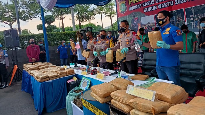 Polres Jakbar bongkar ladang ganja di Sumut, 114,5 ton ganja disita.