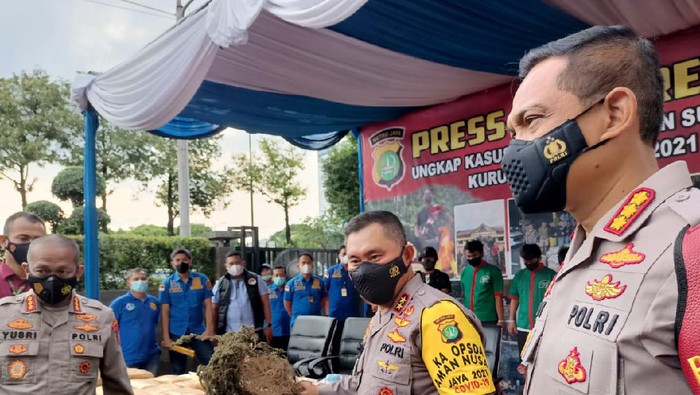Polres Jakbar bongkar ladang ganja di Sumut, 114,5 ton ganja disita.
