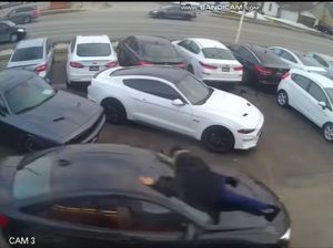 Duh! Maling Pura-pura Beli Mobil BMW, Sales Ditabrak Nemplok di Kap Mesin