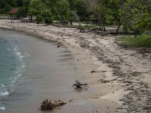 Celebrity on Vacation: Berkuda Sambil Menikmati Sunset di Pantai Kecinan