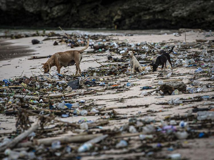 Duh, Pantai Pink Lombok Penuh Sampah