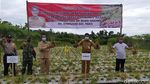 Setelah 15 Tahun, Petani Bawang Merah di Gunung Merbabu Panen Lagi