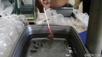 Berburu Ikan Hias di Pasar Musi Depok