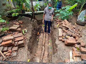 Bonggol Pisang Langka Berukuran 3 Meter yang Bikin Kaget di Kudus
