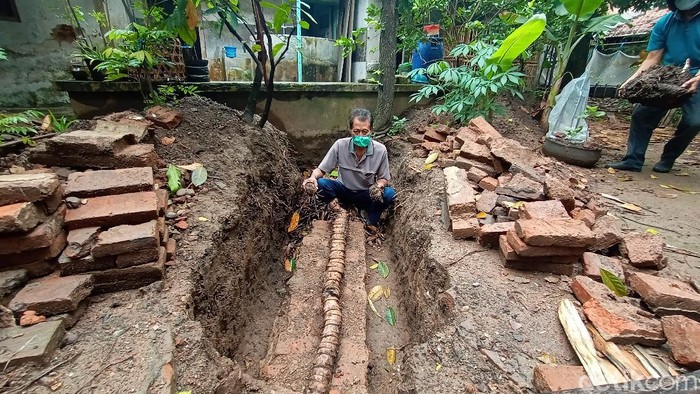 Bonggol pisang berukuran 3 meter di Kudus, Rabu (10/3/2021).