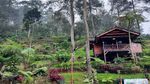 Potret Desa Wisata Batulayang di Bogor nan Memesona