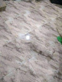 Foto kamuflase mengecoh mata