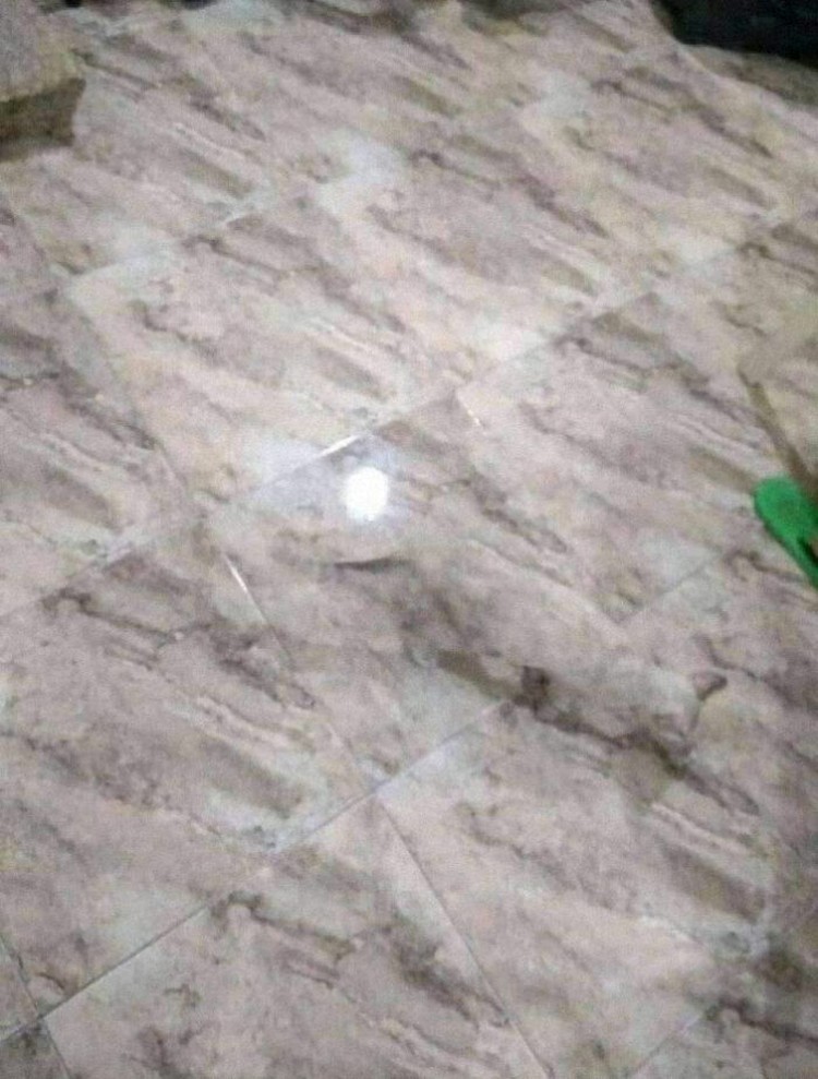Foto kamuflase mengecoh mata