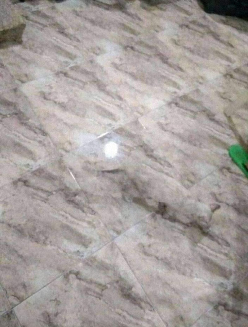 Foto kamuflase mengecoh mata