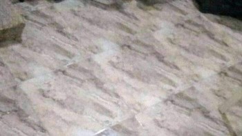 Menemukan sesuaru di lantar? Foto: dok Bored Panda