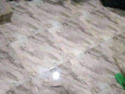 Deretan Foto Kamuflase yang Bikin Mata Terkecoh