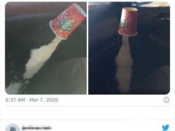 Deretan Foto Kamuflase yang Bikin Mata Terkecoh