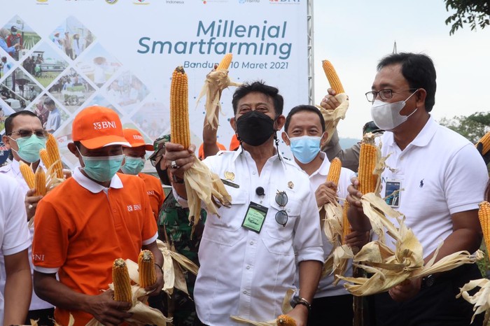 Kementan