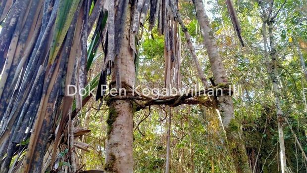 Lokasi persembunyian KKB Papua