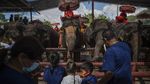 Pakai Paspor Vaksin ke Thailand, Bisa Potong Waktu Karantina Lho