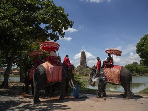 Apa Bahasa Resmi Negara Thailand? Simak di Sini Penjelasannya