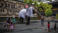 Ketiga, orang asing yang memiliki sertifikat bebas COVID-19 tetapi tidak memiliki sertifikat vaksinasi akan dipotong karantinanya menjadi 10 hari. Getty Images/Lauren DeCicca