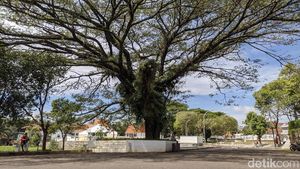Foto Situs Jambansari, Spot Foto Baru di Ciamis