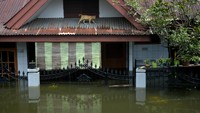 Rusli menyebut kini ketinggian air sudah mulai surut. Ketinggian air, menurut Rusli, antara 30-50 di cm.  