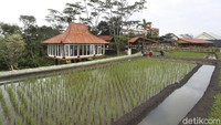 Sehingga saat bersantap, pengunjung bisa sembari melihat aktivitas petani menanam beraneka sayur mayur dengan latar Gunung Arjuno yang menjulang. 
