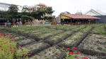 Bikin Betah, NK Cafe Tawarkan Sensasi Kulineran di Tengah Sawah