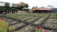 Adapun menu yang ditawarkan di cafe yang buka mulai pukul 06.30 pagi hingga 21.00 malam ini amat beragam, mulai dari western hingga makanan khas Indonesia. 