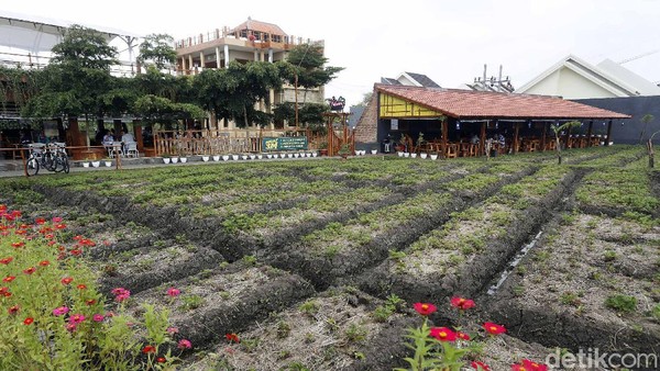 Adapun menu yang ditawarkan di cafe yang buka mulai pukul 06.30 pagi hingga 21.00 malam ini amat beragam, mulai dari western hingga makanan khas Indonesia. Adapun menu yang ditawarkan di cafe yang buka mulai pukul 06.30 pagi hingga 21.00 malam ini amat beragam, mulai dari western hingga makanan khas Indonesia.Â