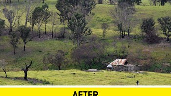 Kekeringan yang berkepanjangan dan panas yang ekstrim telah menyulut musim kebakaran di Australia. Foto: dok Brightsight