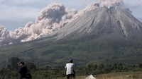 Kepala Pos Pengamatan Gunung Api Sinabung, Armen, mengatakan erupsi pertama terjadi pukul 07.37 WIB dan erupsi kedua terjadi pukul 07.45 WIB. Ketinggian kolom abu pada erupsi pertama ini terpantau setinggi 1.000 meter dan erupsi kedua sekitar 700 meter. AP Photo/Binsar Bakkara