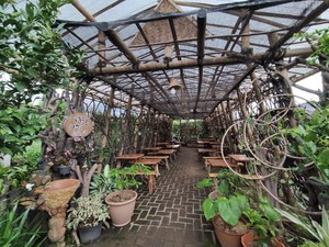 Kafe Ubi: Cicip Bekal ala Petani di Tengah Perdesaan