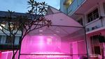 Wah, Ada Kebun Hidroponik Cantik di Rooftop PLN Bandung