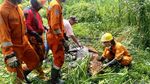 Kerja Keras Petugas Damkar Surabaya Evakuasi Sapi Masuk Rawa