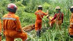 Kerja Keras Petugas Damkar Surabaya Evakuasi Sapi Masuk Rawa