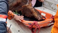 Bagaimana menurut Anda?