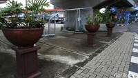Sebagian tanaman hias ditanam menggunakan pot.