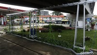Tanaman rumput yang hijau menambah suasana kolong flyover menjadi adem.