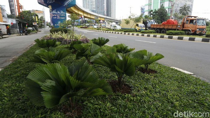 Kolong Flyover Rawa Panjang Bekasi Dipercantik dengan Tanaman Hias Kolong fly over Rawa Panjang, Kota Bekasi, kini dipercantik dengan aneka tanaman hias. Keberadaan tanaman hias tersebut memberikan kesan indah dan enak dipandang mata setiap orang yang melintas di kawasan tersebut.
