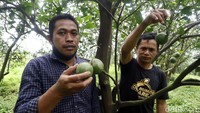 Program Jelajah UMKM mengulas berbagai aspek kehidupan warga dan membaca potensi di daerah. Untuk mengetahui informasi lebih lengkap, Ikuti terus jelajah UMKM bersama BRI hanya di detik.com/tag/jelajahumkmbri.