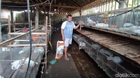 Ia menuturkan, sebelum masa pandemi permintaan stok untuk daging kelinci yang dipotong sampai kurang-kurang. Untuk itu, ada berapapun yang sudah siap dilepas diambil.