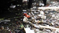 Sampah dibersihkan agar tidak menghambat aliran air Kali Mampang.